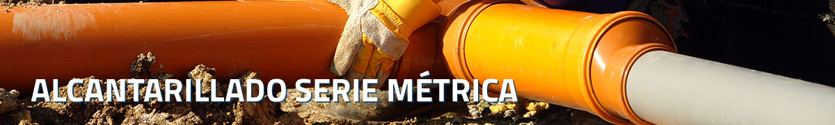 Serie Métrica